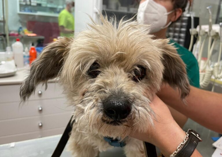 multimedia-foto72837-735-1