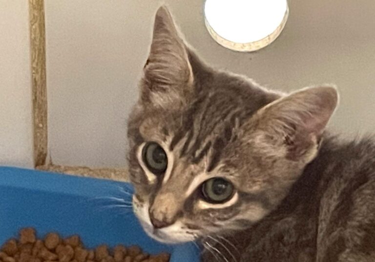 multimedia-foto72850-190-1