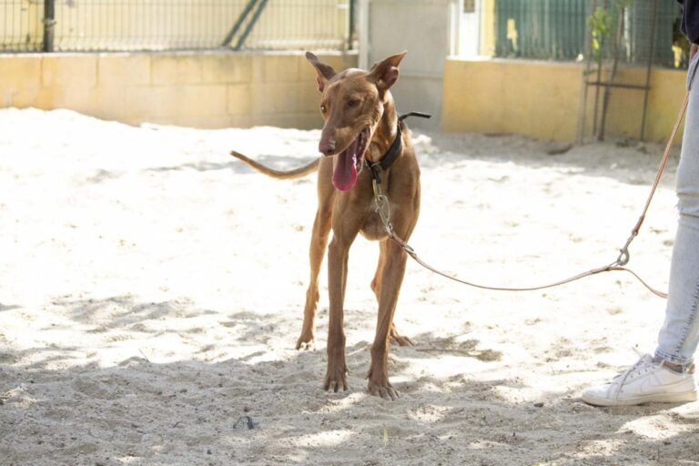 multimedia-foto72873-256-1