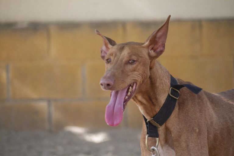 multimedia-foto72874-256-1