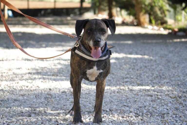 multimedia-foto72887-375-1