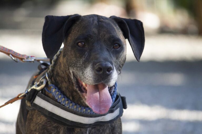 multimedia-foto72888-375-1