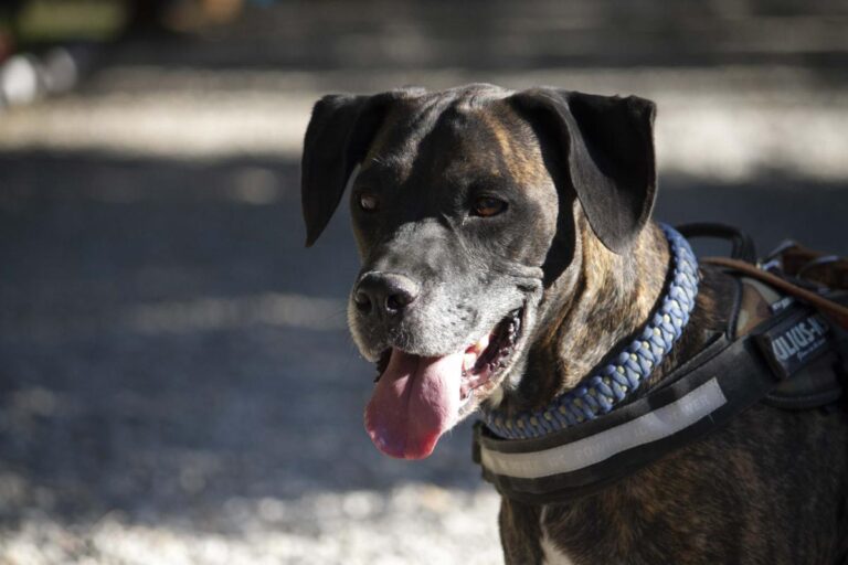 multimedia-foto72889-375-1