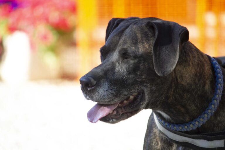 multimedia-foto72890-376-1