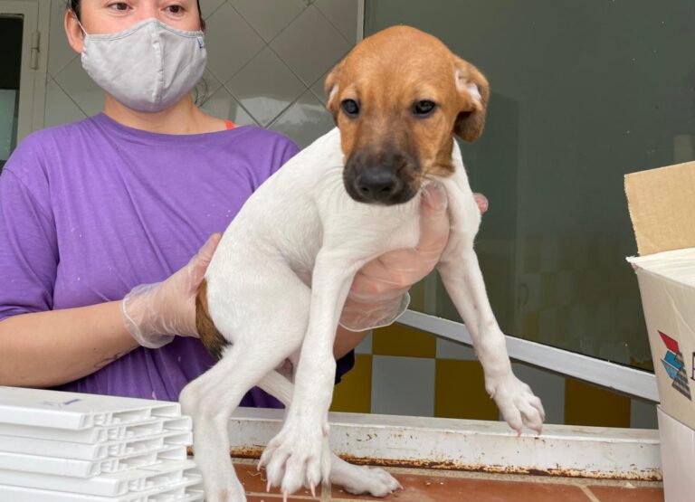 multimedia-foto72901-873-1