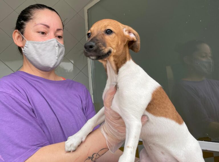 multimedia-foto72902-873-1