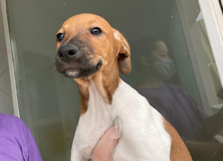 multimedia-foto72903-873-1