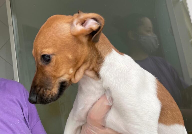 multimedia-foto72904-873-1