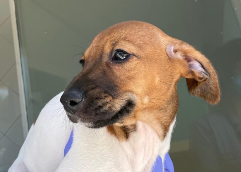 multimedia-foto72905-874-1