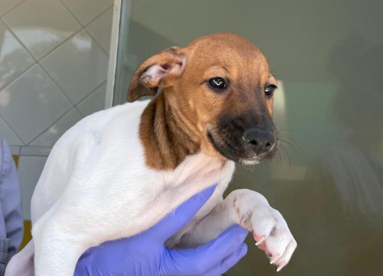 multimedia-foto72906-874-1