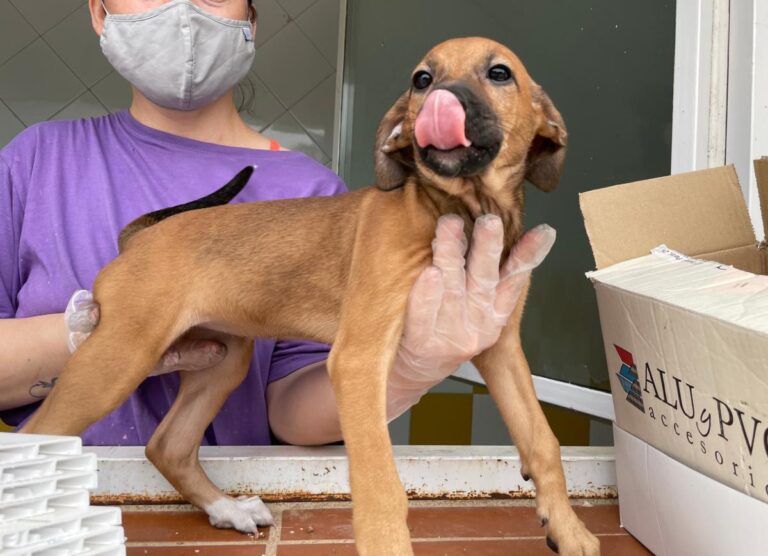 multimedia-foto72914-56-1