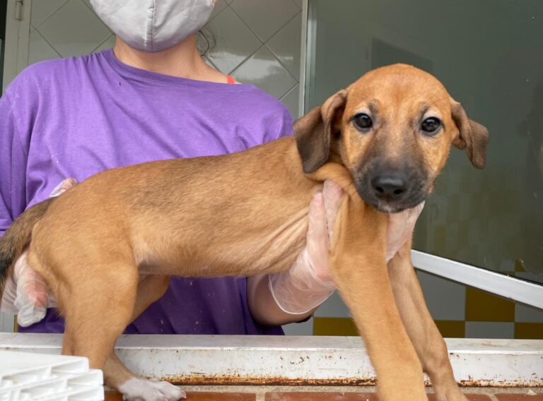 multimedia-foto72915-56-1