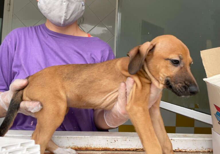 multimedia-foto72916-56-1