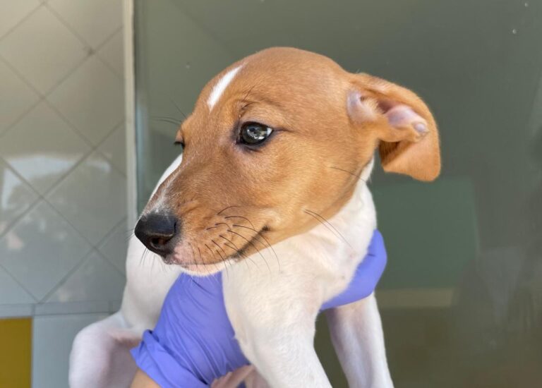 multimedia-foto72921-118-1