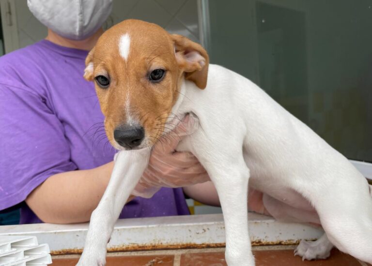 multimedia-foto72922-118-1