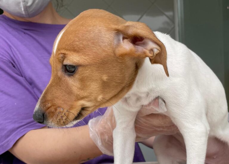 multimedia-foto72923-118-1