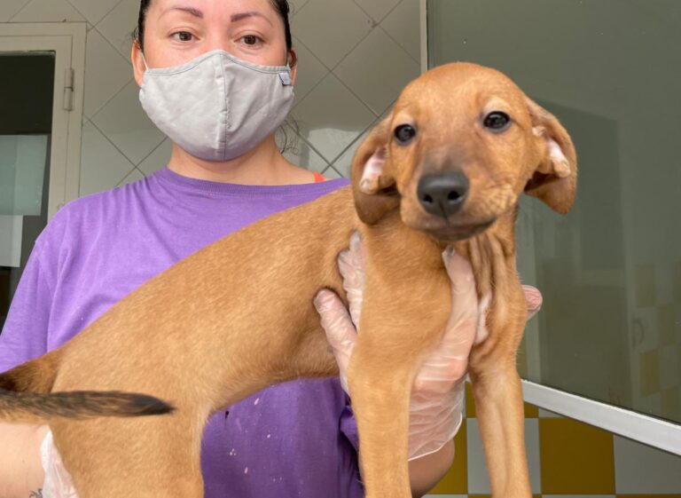 multimedia-foto72925-564-1