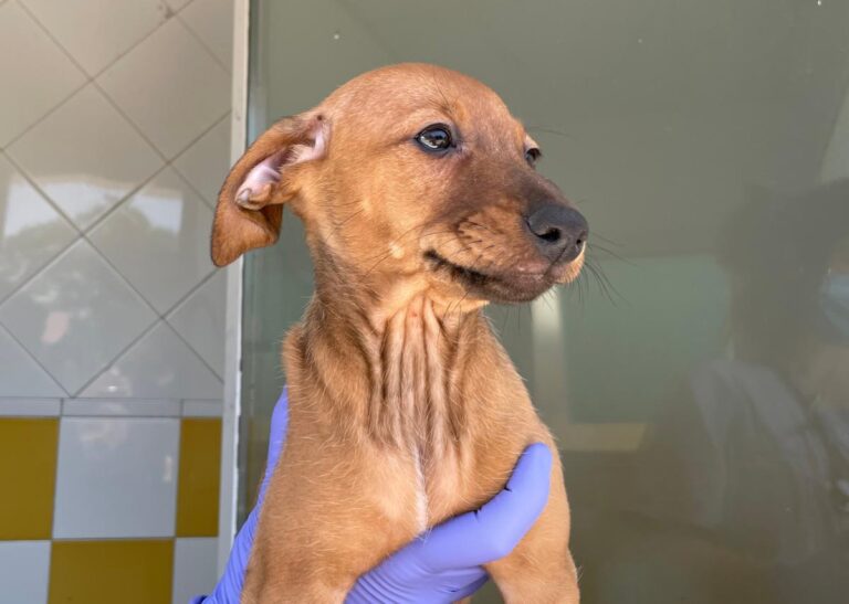 multimedia-foto72926-564-1