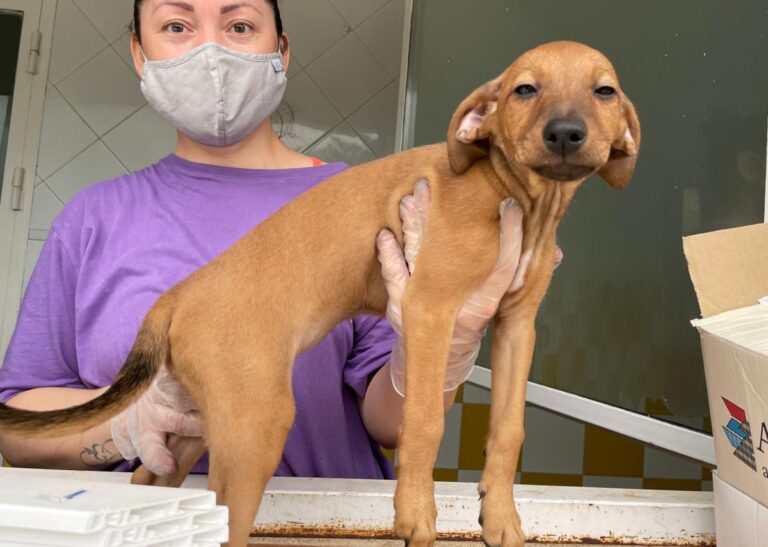 multimedia-foto72929-565-1