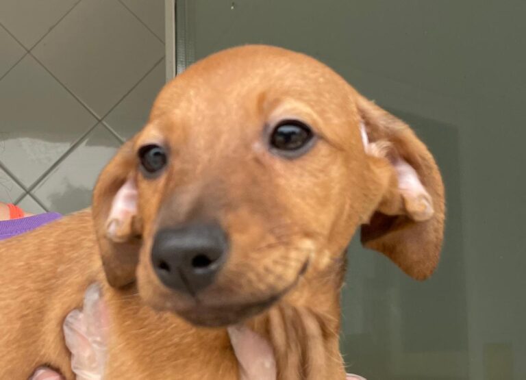 multimedia-foto72930-565-1