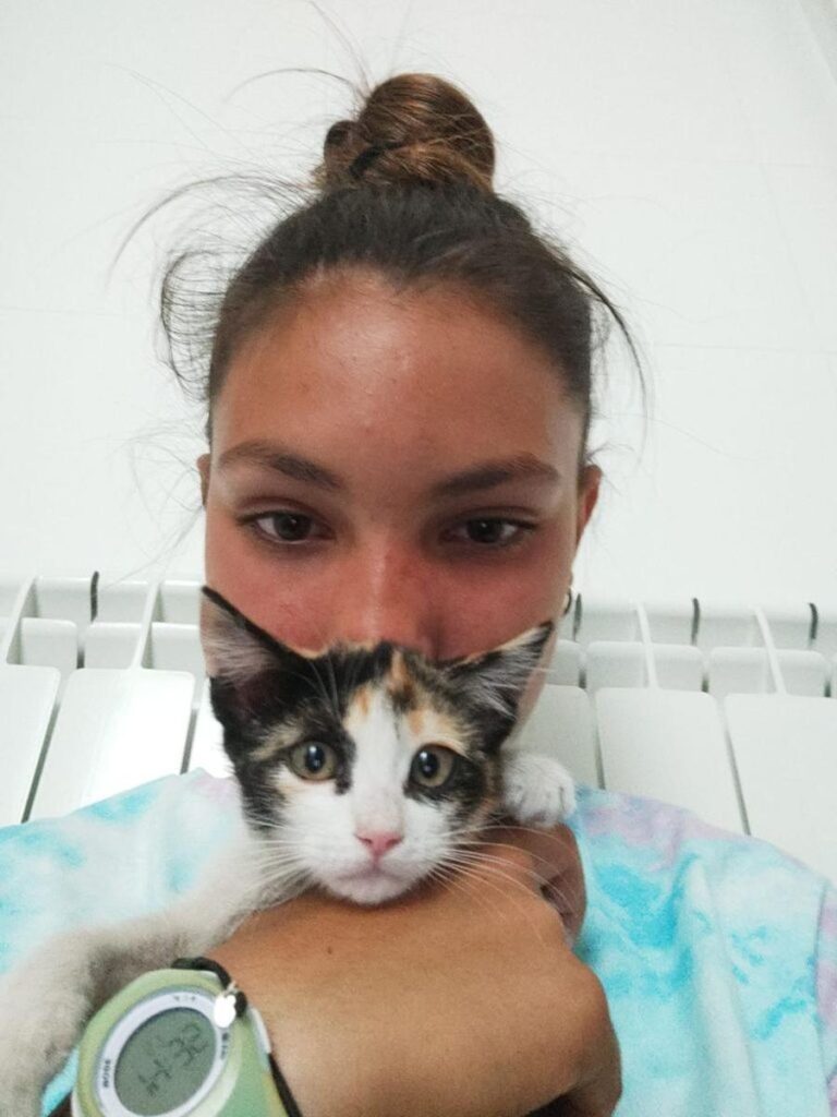 multimedia-foto72944-84-1