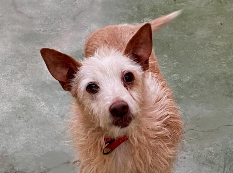 multimedia-foto72981-837-1