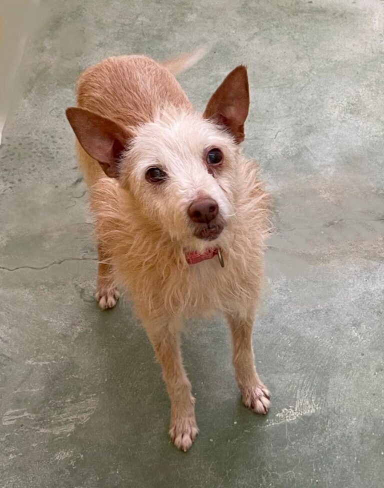 multimedia-foto72982-838-1