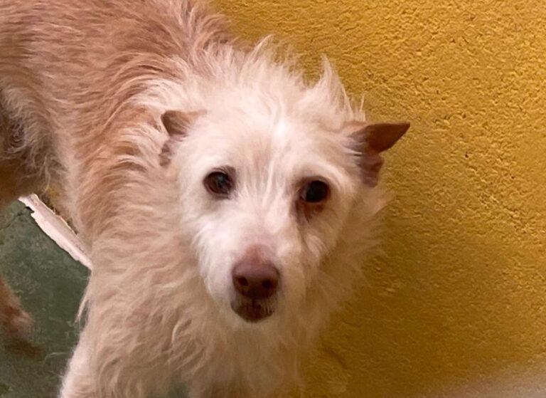 multimedia-foto72983-838-1