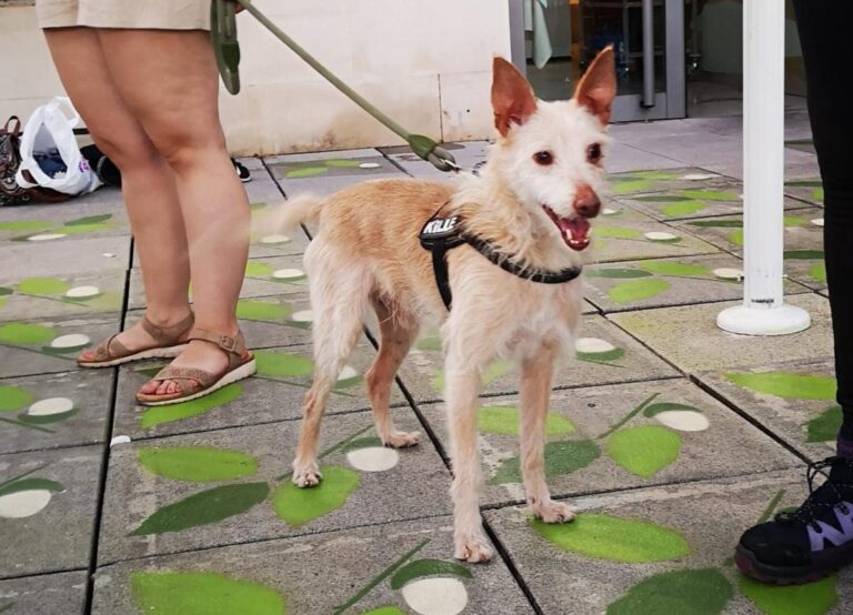 multimedia-foto72984-838-1