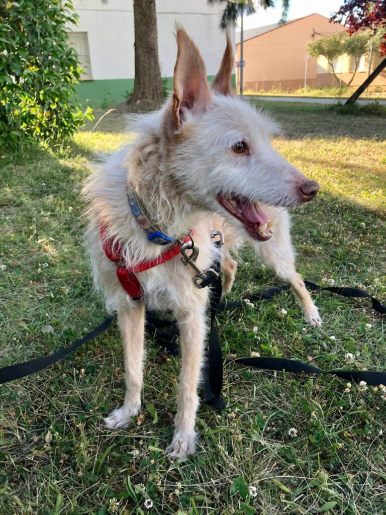 multimedia-foto72986-838-1