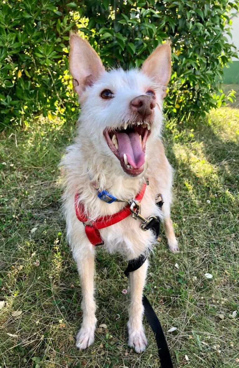 multimedia-foto72987-839-1