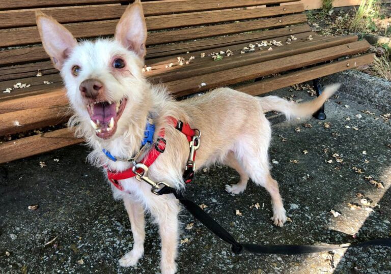 multimedia-foto72988-839-1