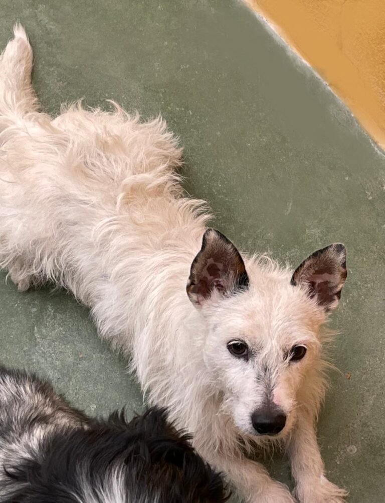 multimedia-foto73027-299-1