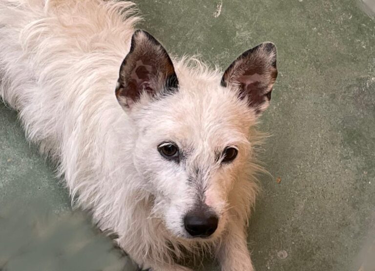 multimedia-foto73028-299-1