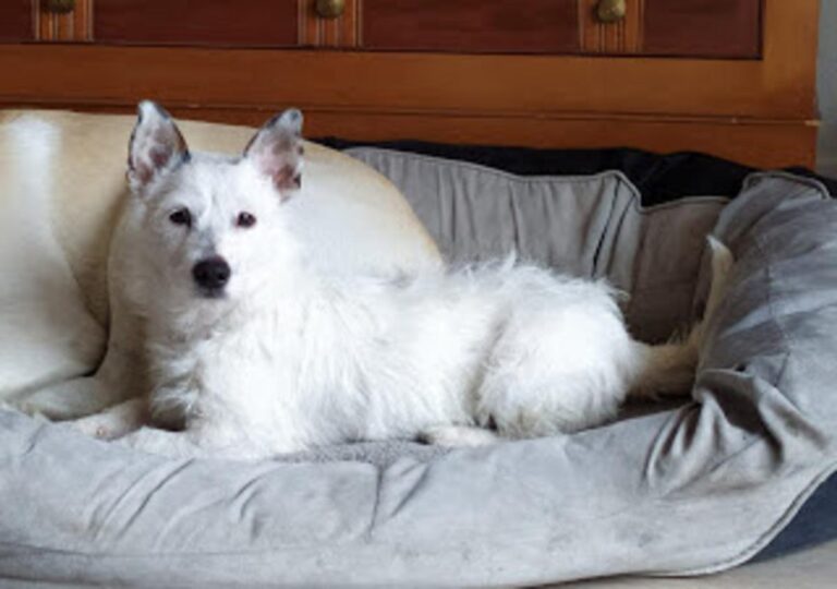 multimedia-foto73029-299-1