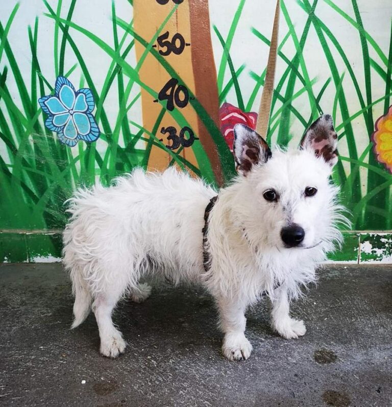 multimedia-foto73030-299-1