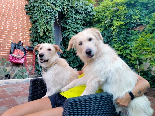 multimedia-foto73047-241-1