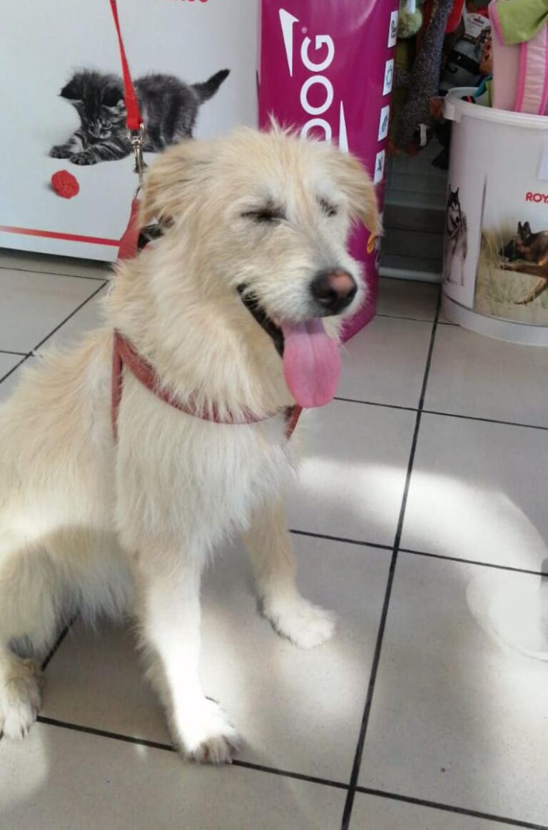 multimedia-foto73049-241-1