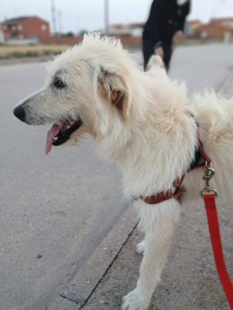 multimedia-foto73050-242-1