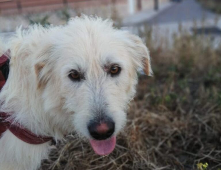 multimedia-foto73051-242-1