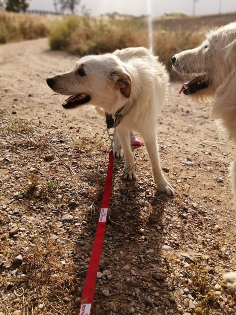 multimedia-foto73052-323-1