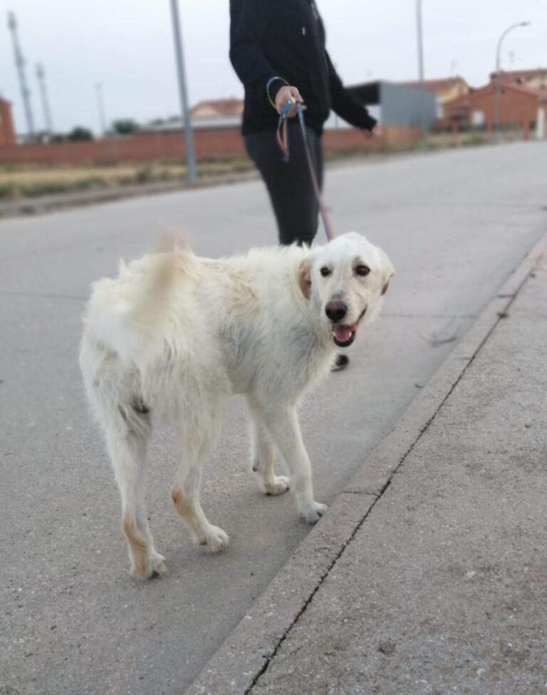 multimedia-foto73054-323-1