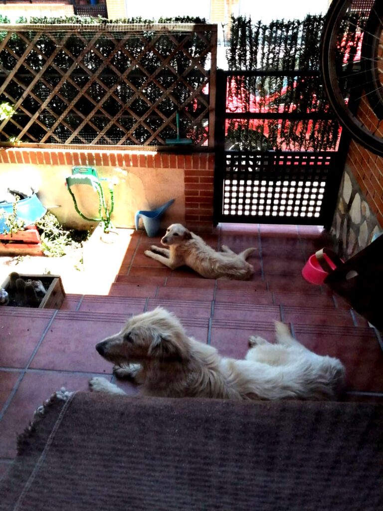 multimedia-foto73055-323-1