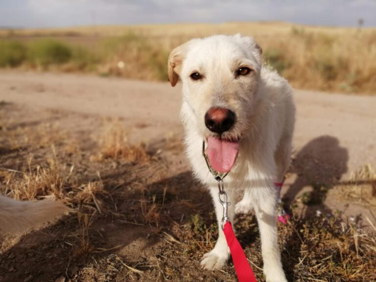 multimedia-foto73056-324-1