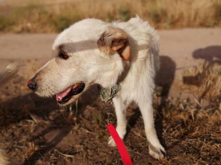 multimedia-foto73057-324-1