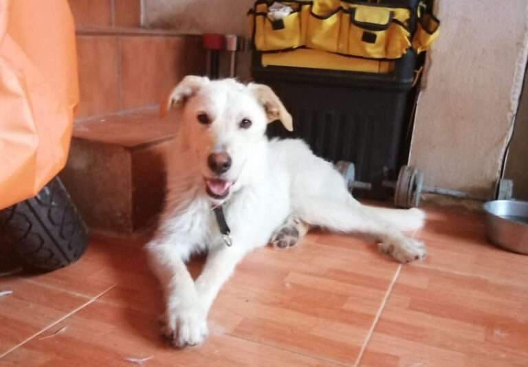 multimedia-foto73059-324-1