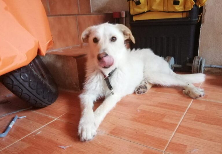 multimedia-foto73060-324-1