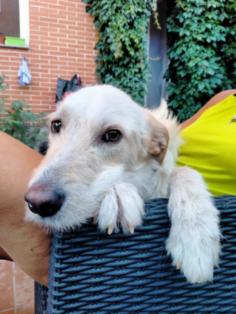 multimedia-foto73063-355-1