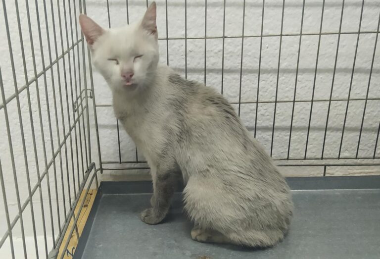 multimedia-foto73064-285-1