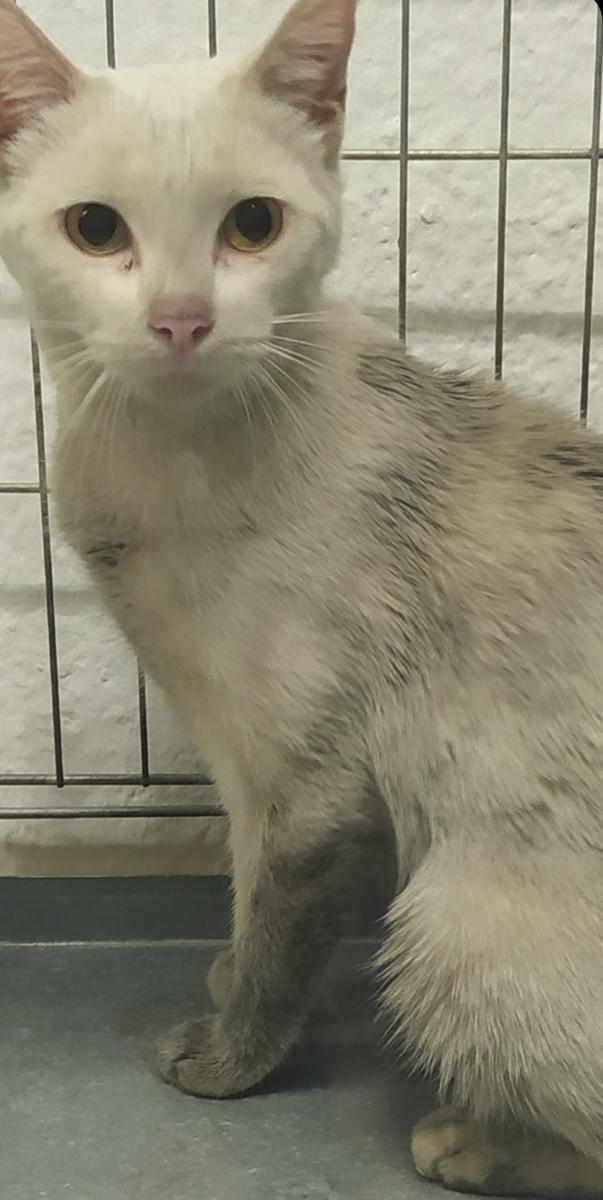 multimedia-foto73065-285-1